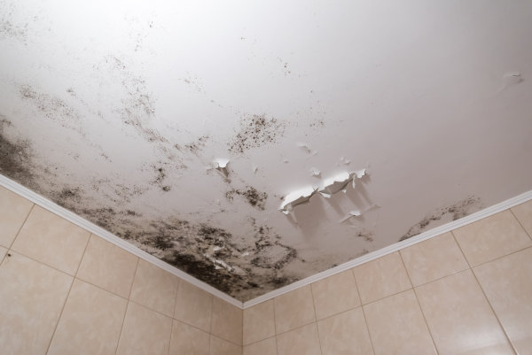Black,Mold,And,Mildew,Spots,On,The,Ceiling,Or,Wall